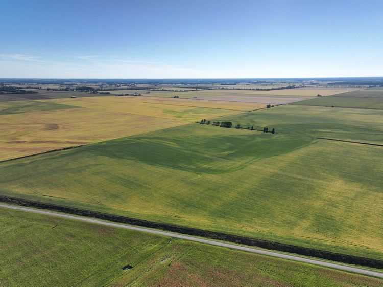 Precision agriculture: Making sense of remotely sensed imagery