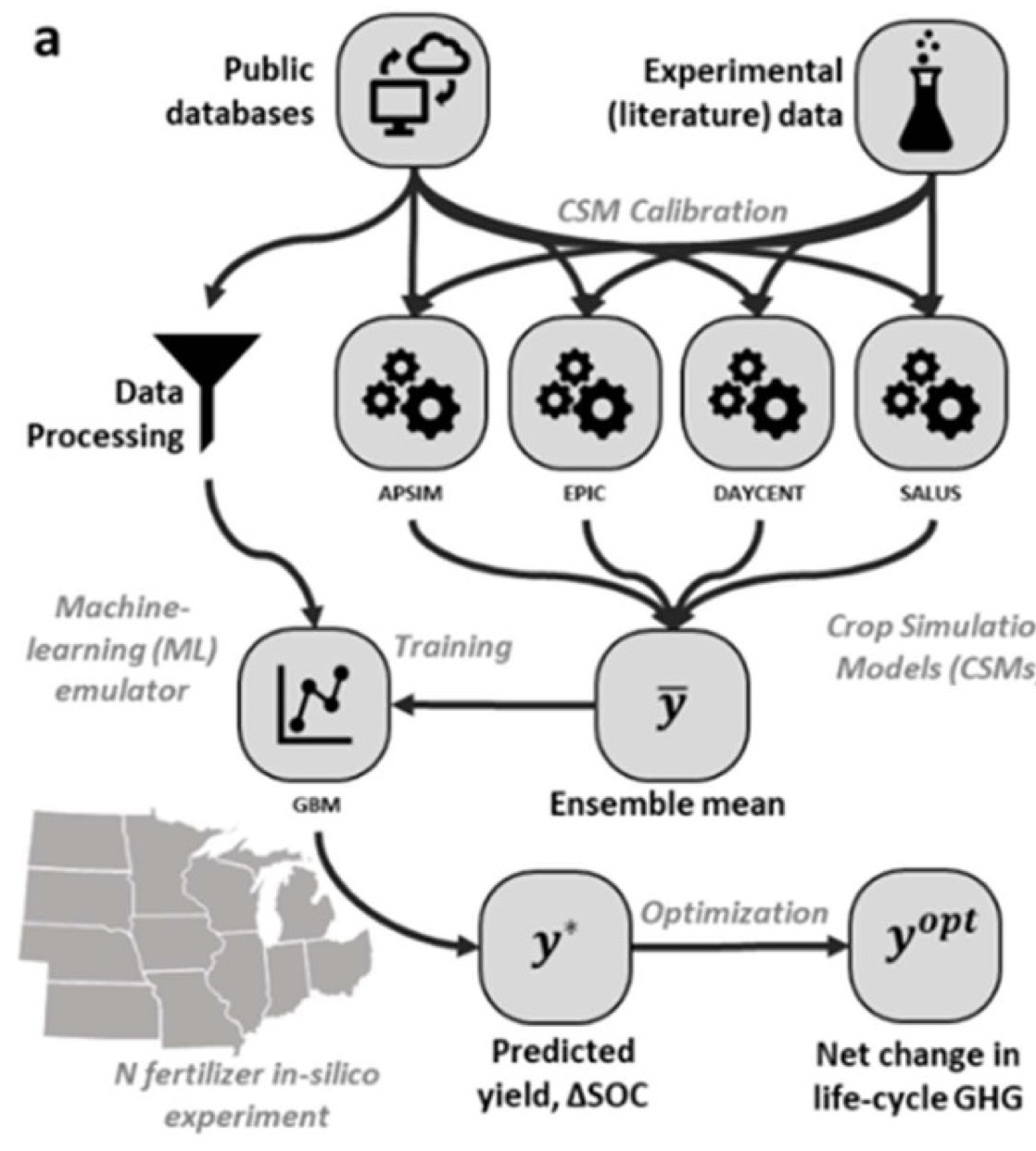 New MSU research shows how biofuel crops can help mitigate climate change when grown on land of otherwise little agricultural value