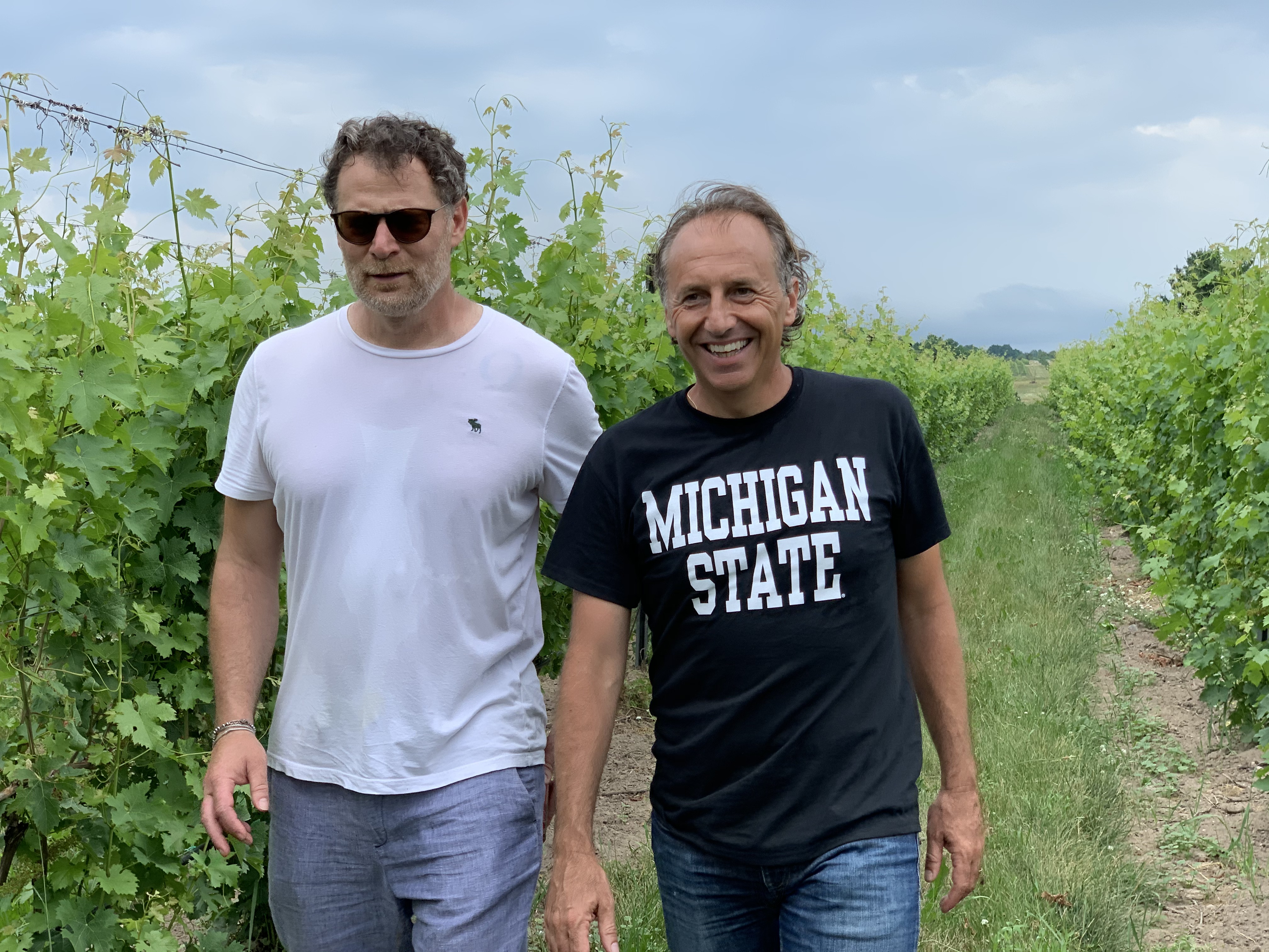 Upcoming research projects from Michigan State University scientists that will support Michigan fruit industries