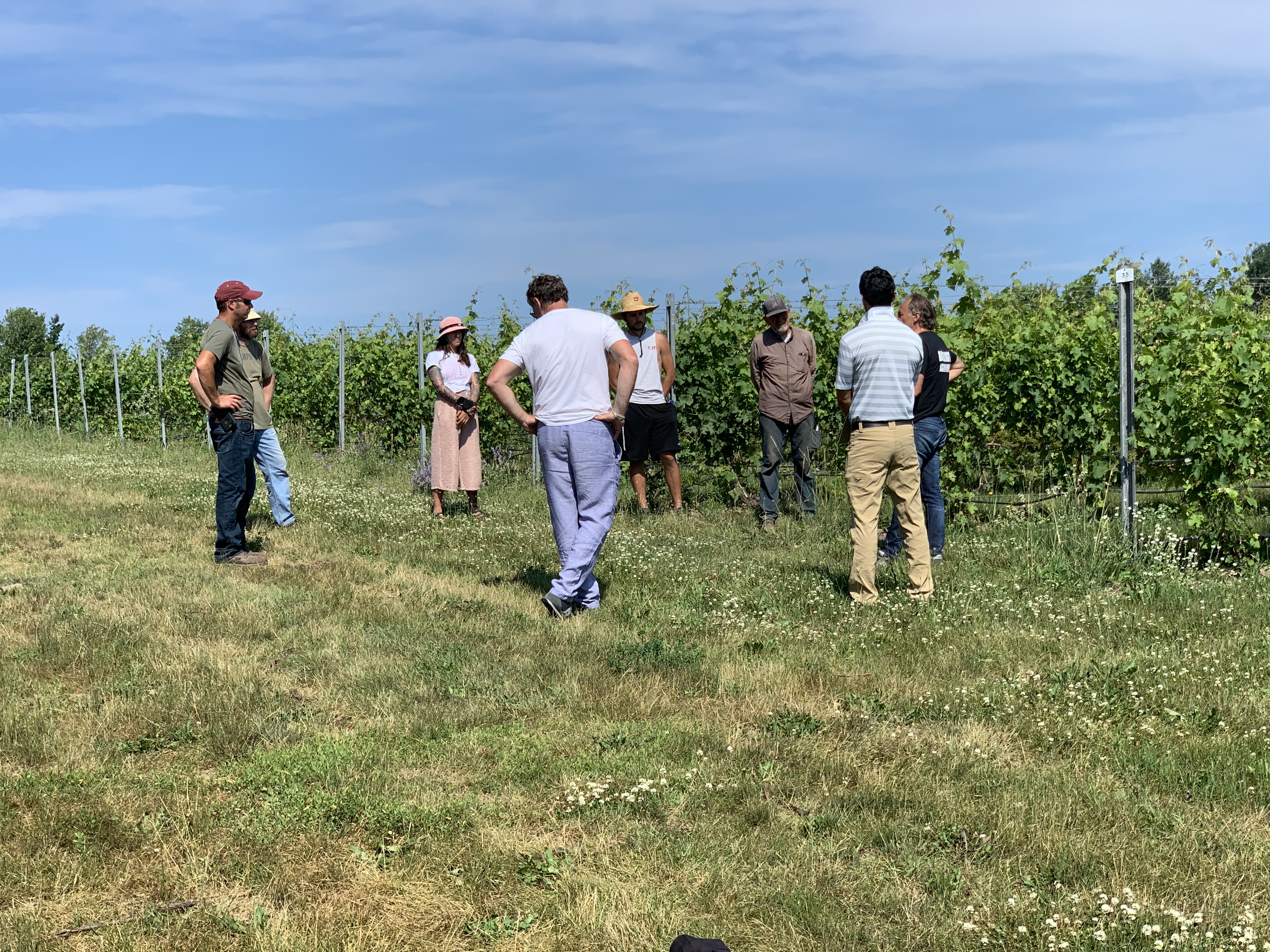 Group standing in circle at vinyard