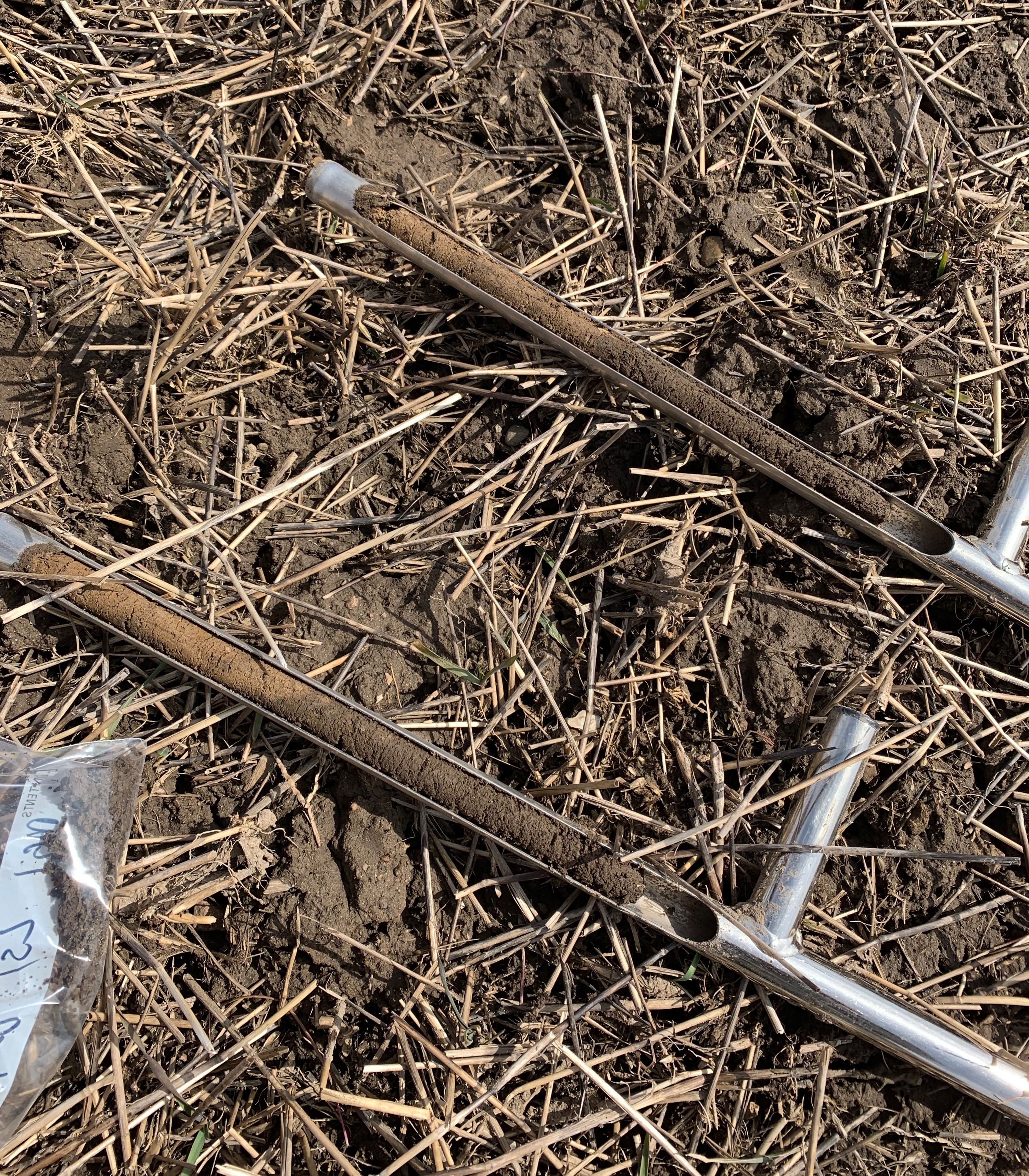 Collecting soil samples to validate model simulations