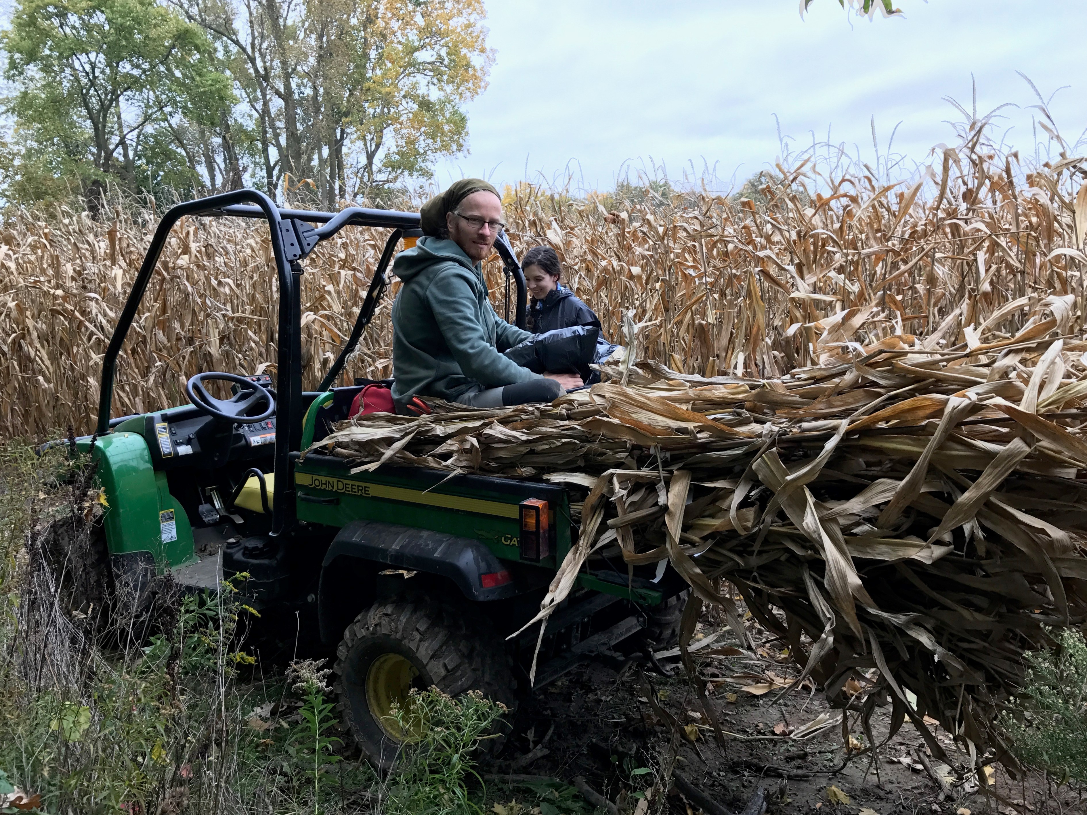Harvesting corn samples at various points in the field for research on spatial variability