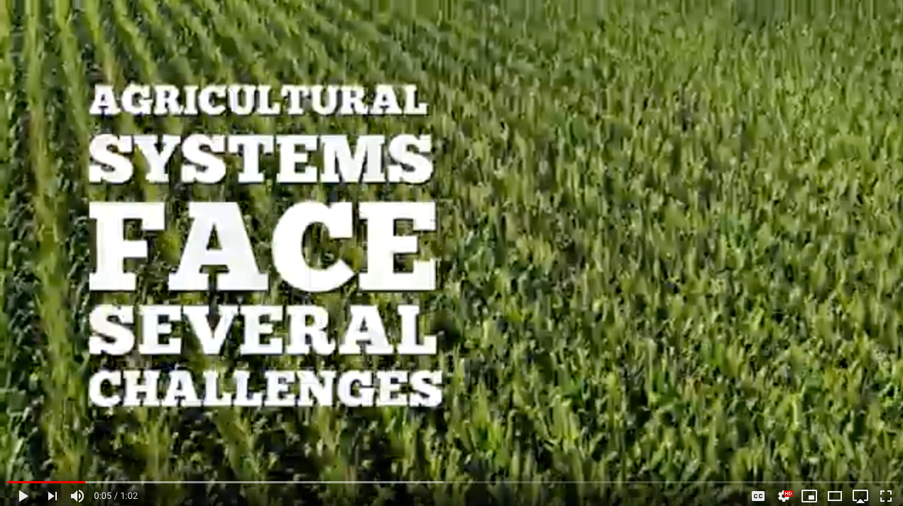 Video: How Michigan State helps farmers grow “more food, more sustainably”