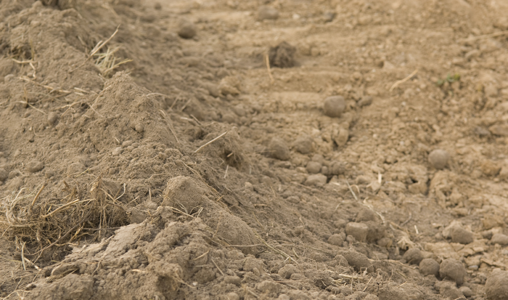 Soil Holds the Secret to Mitigating Climate Change