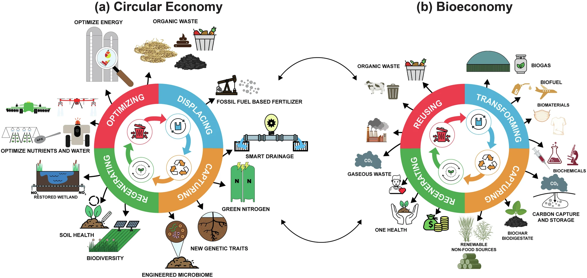Bruno Basso's Groundbreaking Research on Precision Agriculture Featured in Nature
