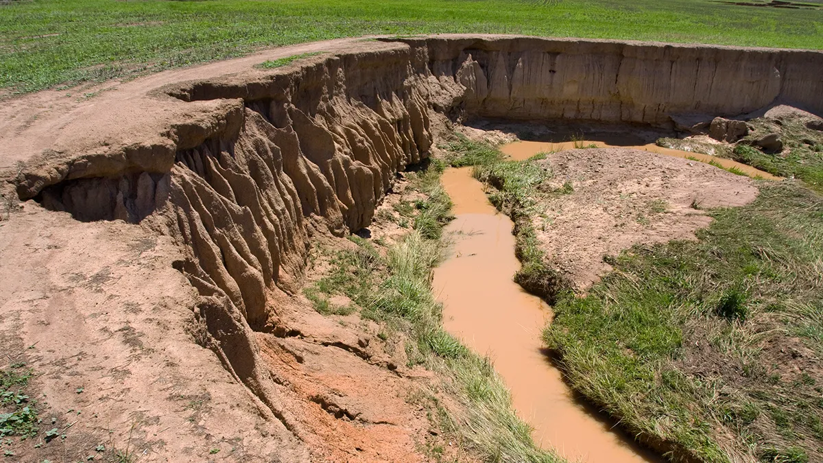 Agricultural Lands Are Losing Topsoil—Here’s How Bad It Could Get